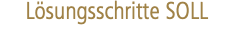 Lösungsschritte SOLL